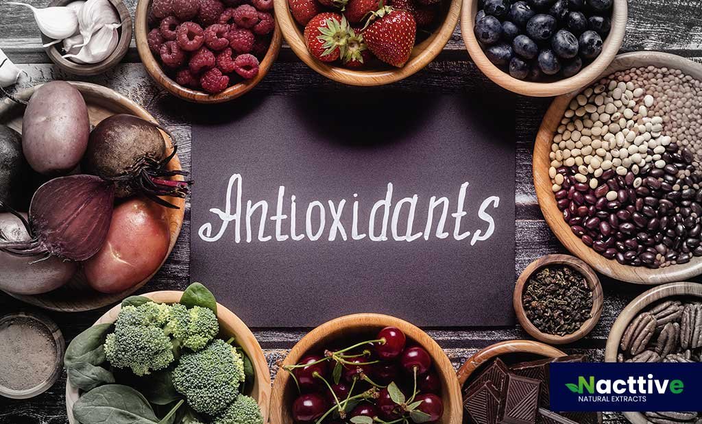 Have You heard of Antioxidants?
