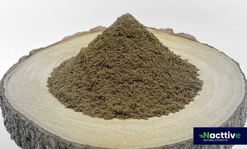 Chanca Piedra Powder