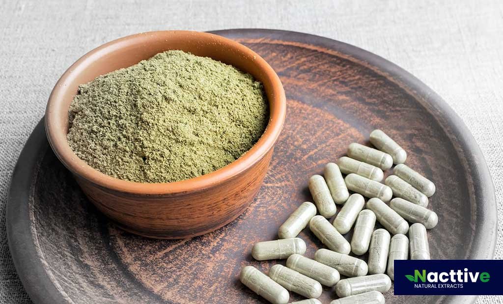 Organic Gingko Biloba Powder