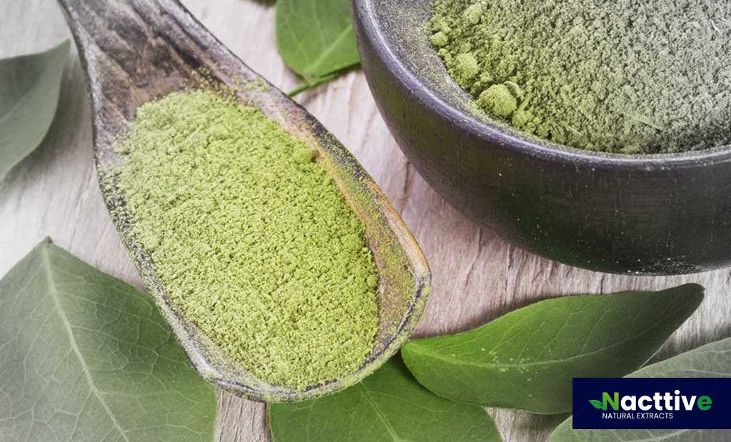 Organic Moringa Powder
