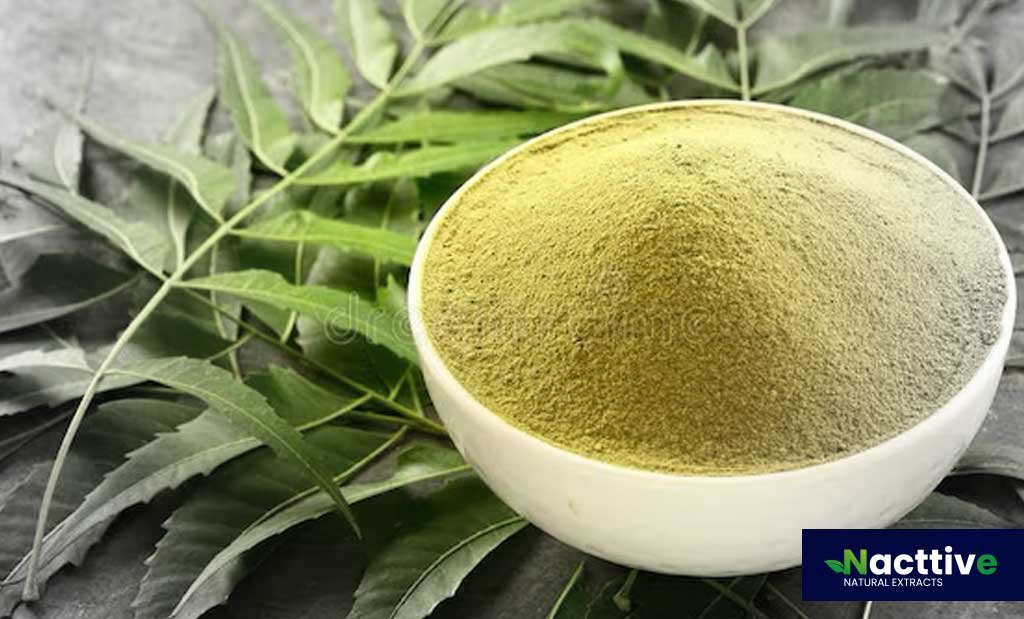 Organic Neem Powder