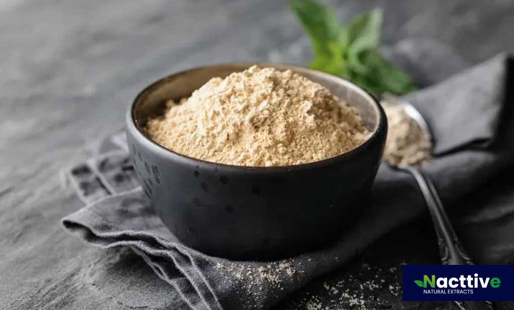 Organic Maca Powder