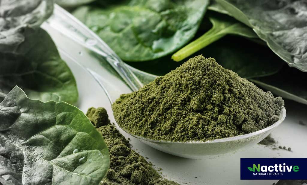 Organic Spinach Powder