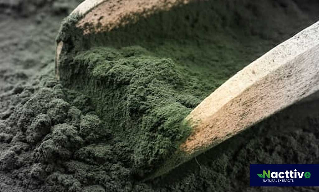 Organic Spirulina Powder