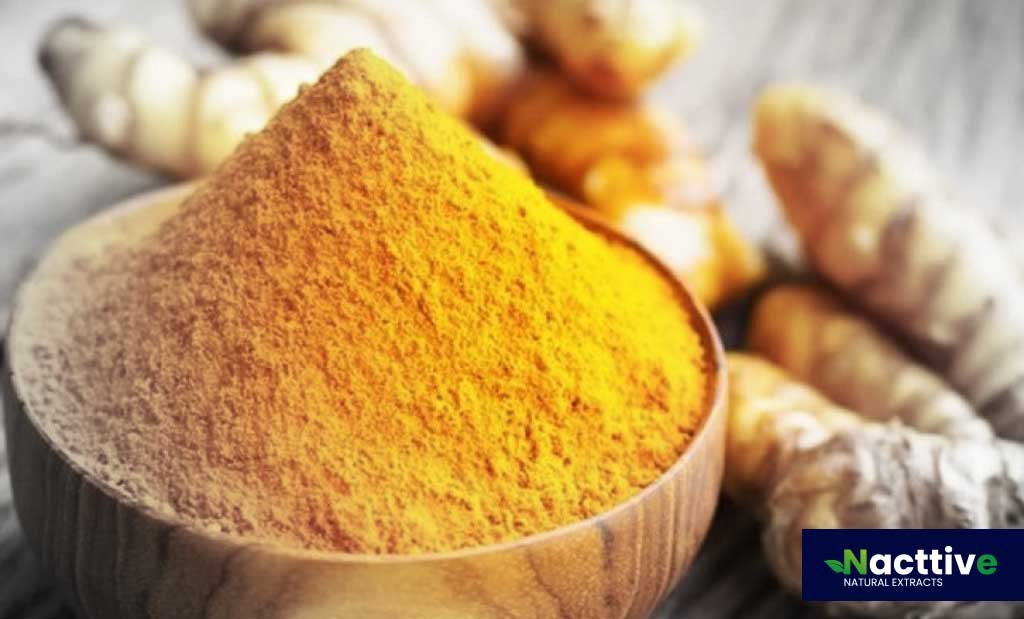 Organic Turmeric Powder