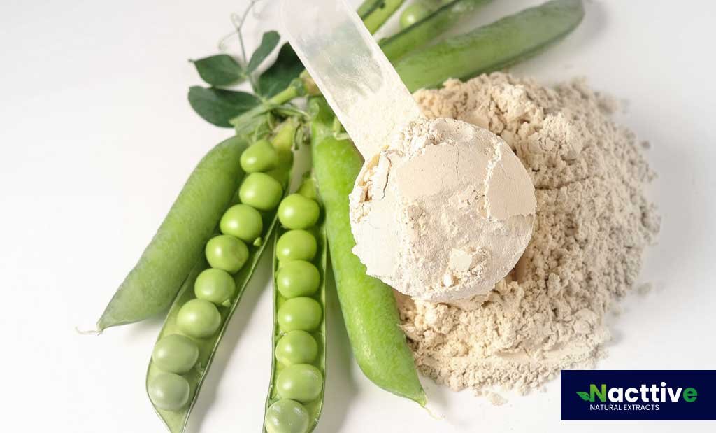 Pea Protein Powder