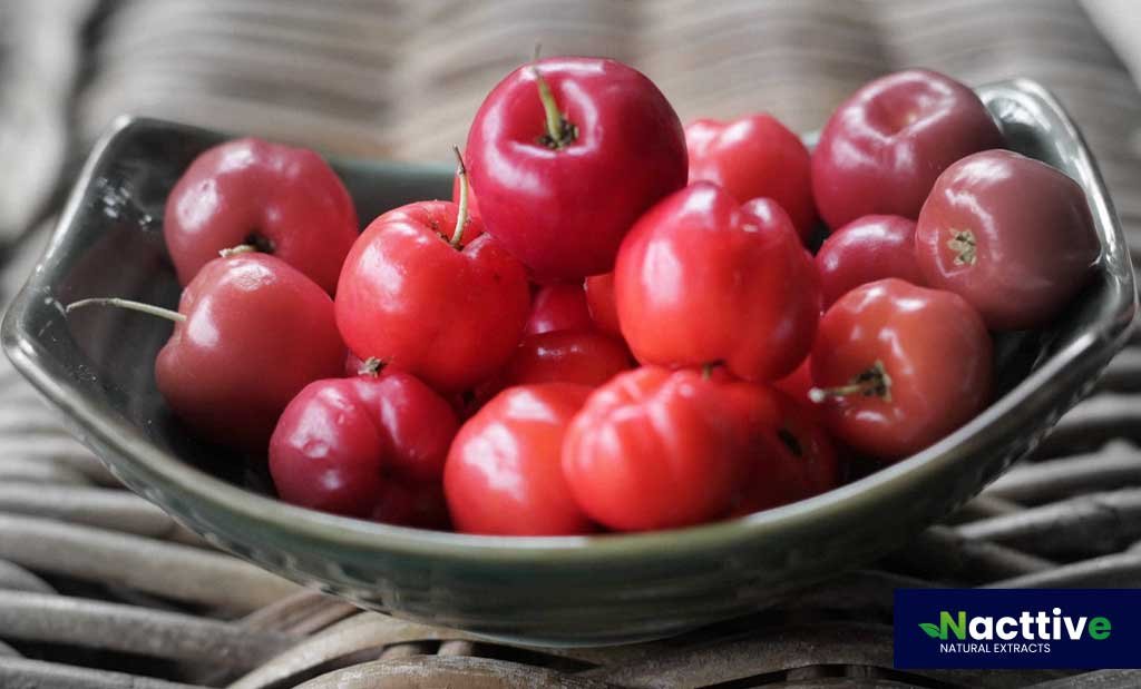 Nacttive Acerola Extract. A natural and sustainable option for your company.