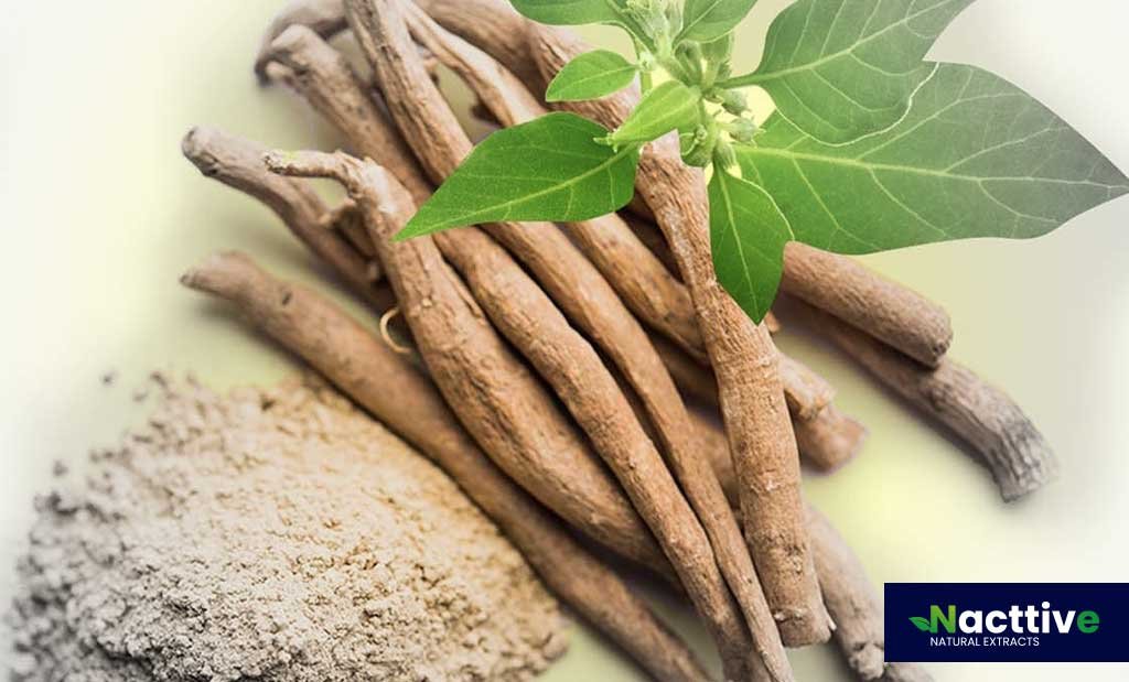 What is ashwagandha