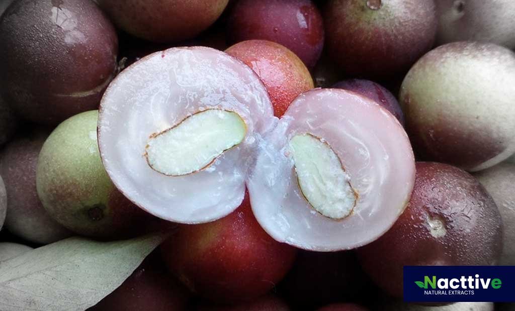 Camu Camu fruit is a highly prized natural ingredient