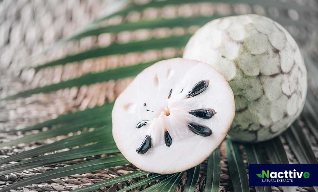 Graviola Powder: A Natural and Versatile Ingredient for Bulk Purchase