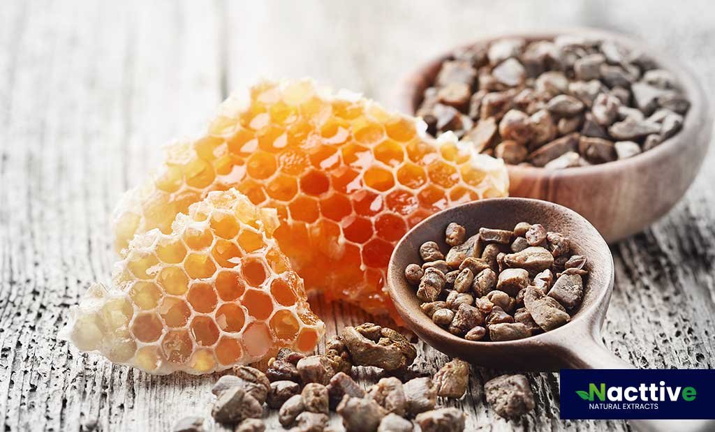 How to Use Brazilian Propolis for Better Health