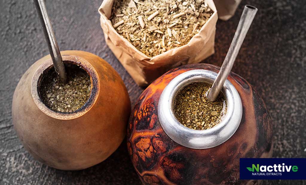 Yerba mate Extracts Powder