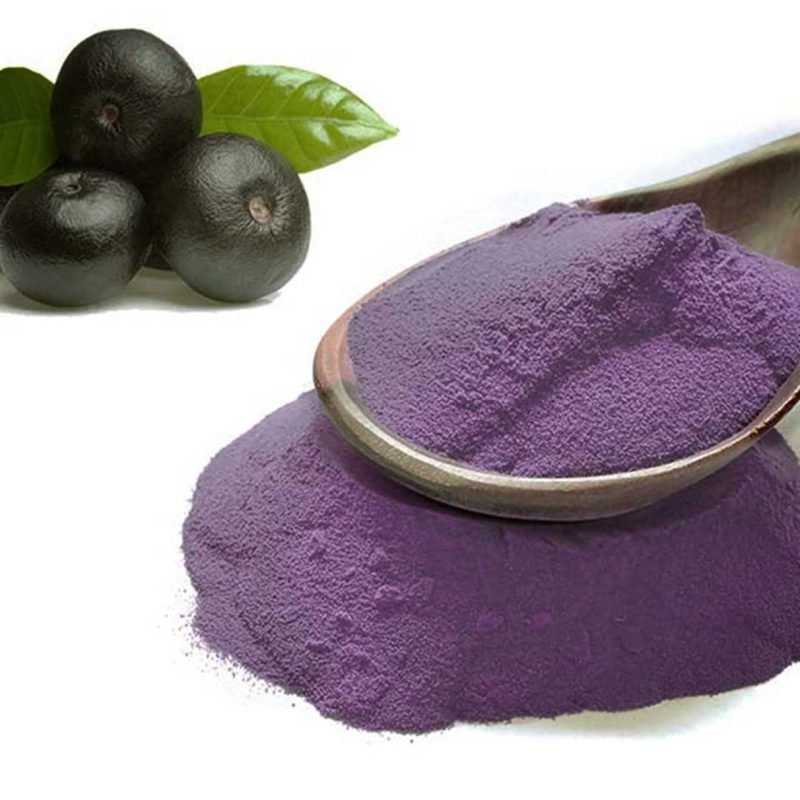 Acai Extract Powder - Image 3