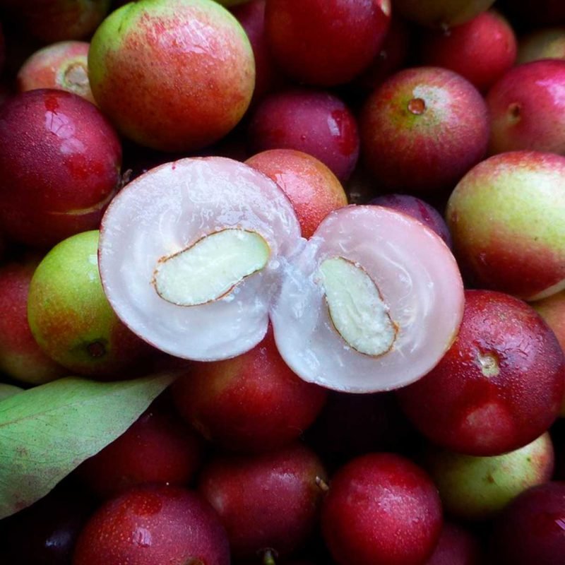 Camu Camu Powder Extract - Image 2
