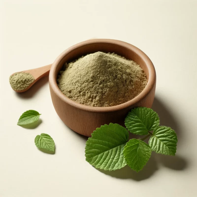 Chanca Piedra Powder - Image 2