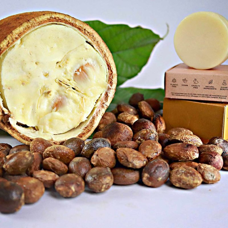 Cupuaçu Powder - Image 3