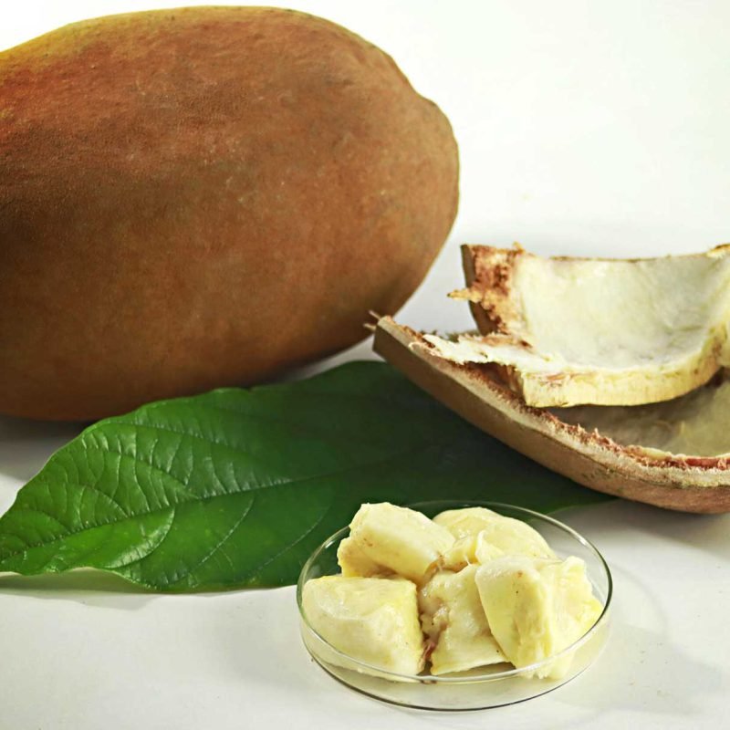 Cupuaçu Powder - Image 4