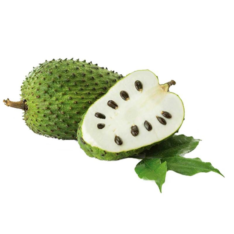 Graviola Tea Cut - Image 2