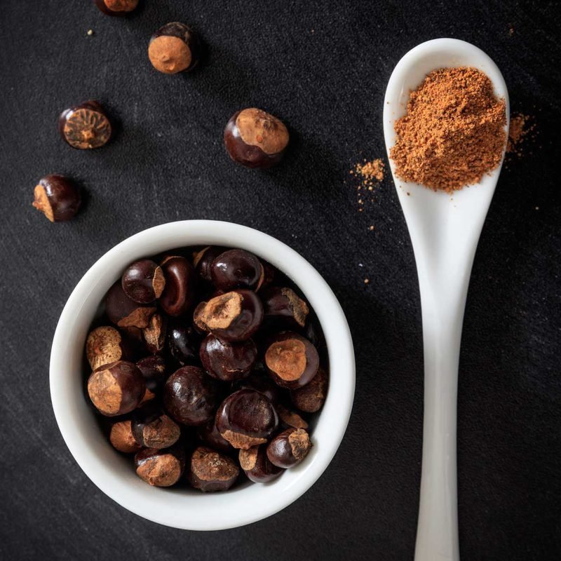 Guarana Extract Powders - Image 4