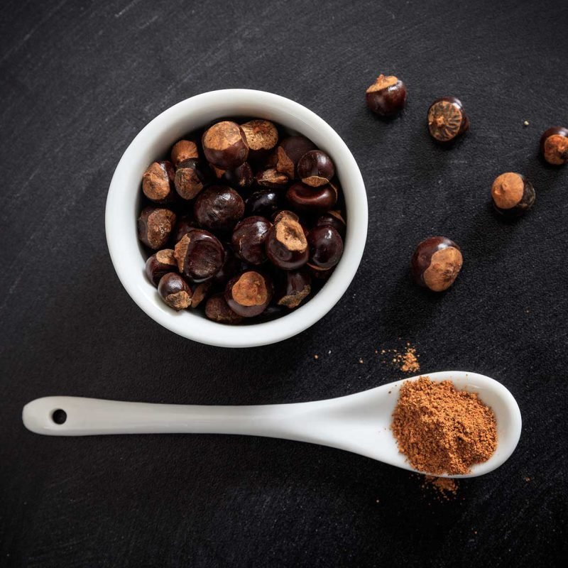 Guarana Extract Powders - Image 2