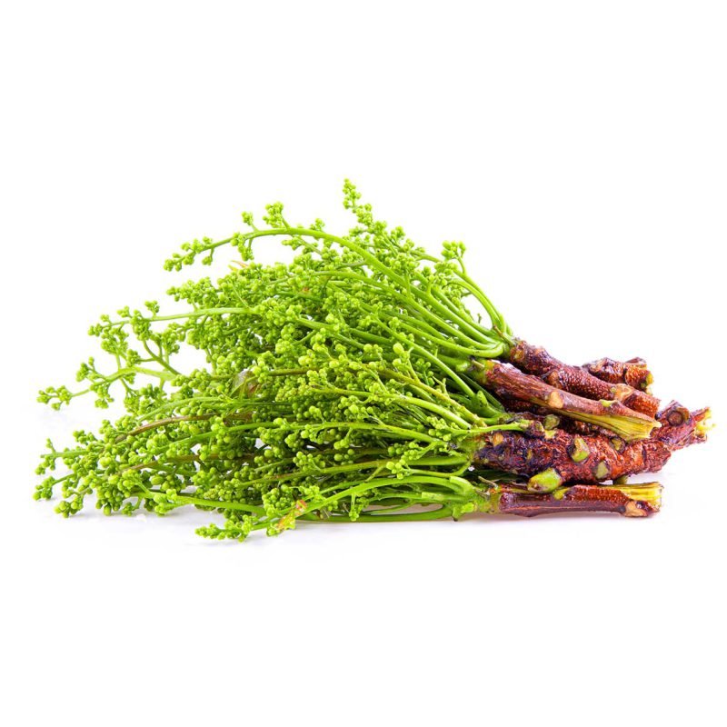 Organic Neem Powder - Image 3