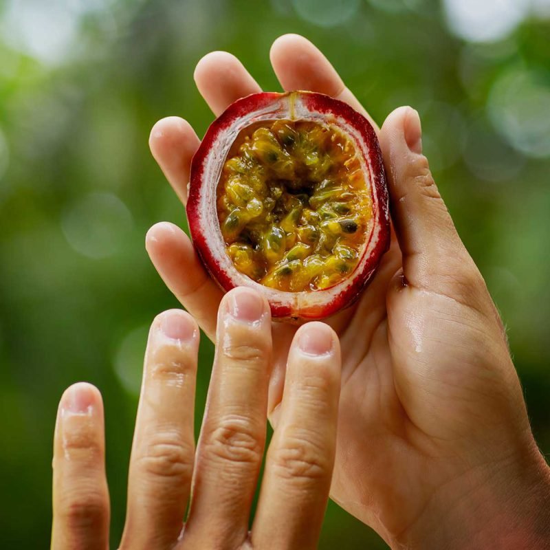 Passion Fruit Extract Powder - Image 4