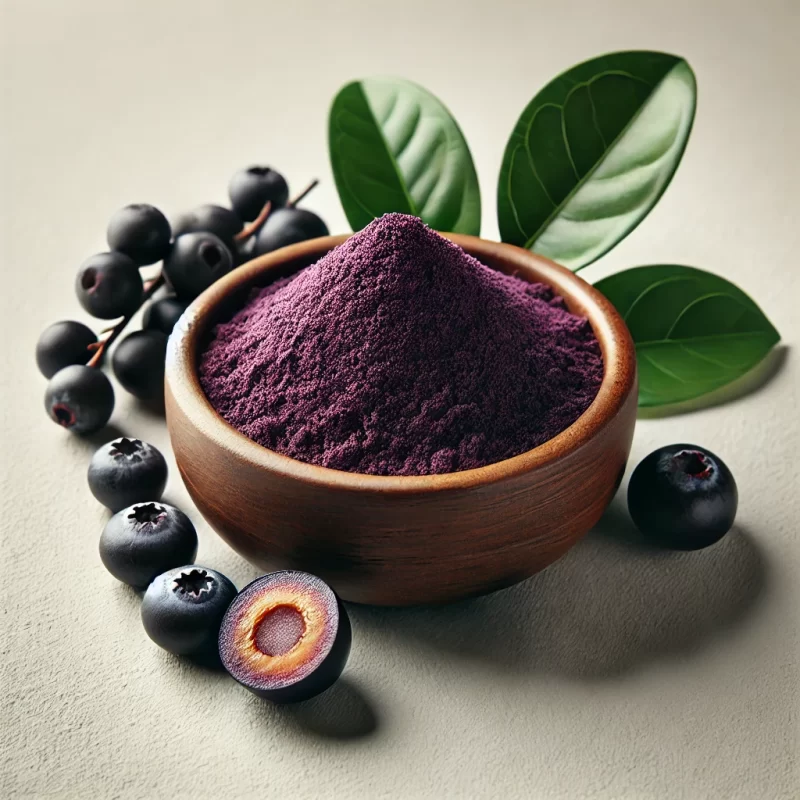 Acai Extract Powder