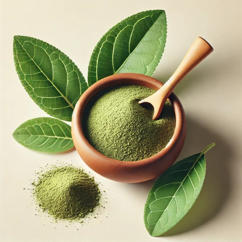 Organic Yerba Mate Powder Extract - Image 3
