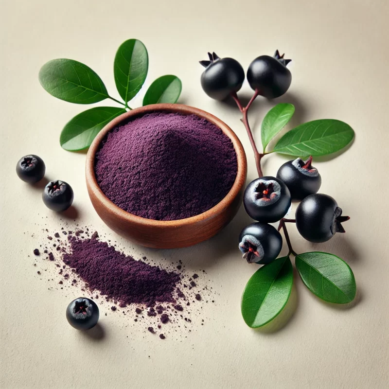 Aronia Extract Powder