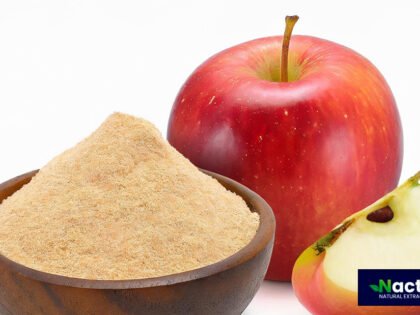 organic apple powder